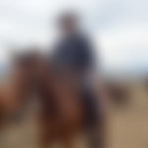 Blur 3